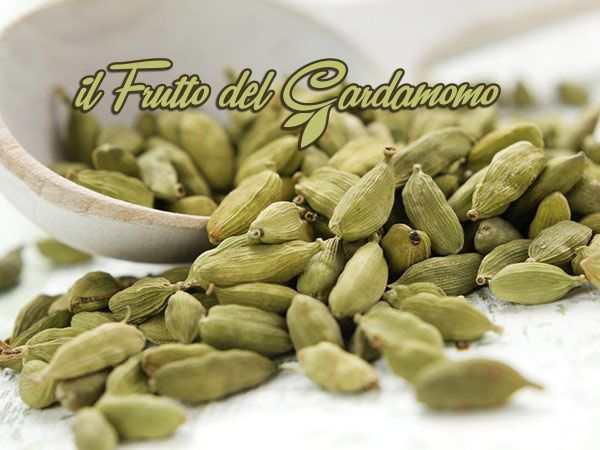 Besciamella vegana per celiaci 